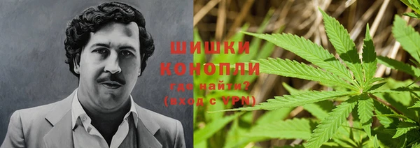 PSILOCYBIN Алексин