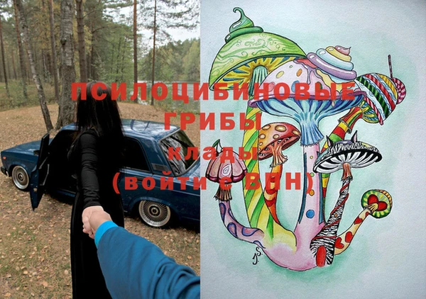 PSILOCYBIN Алексин