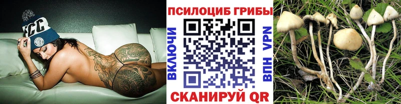 Галлюциногенные грибы мухоморы  Ивдель 